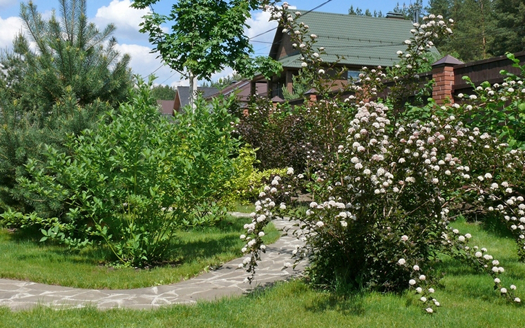 Камни в ландшафтном дизайне