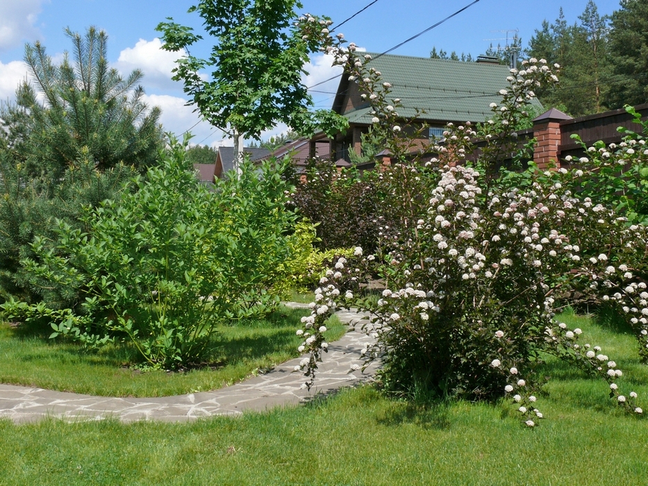 Загородный дом «», участок, фото из проекта 