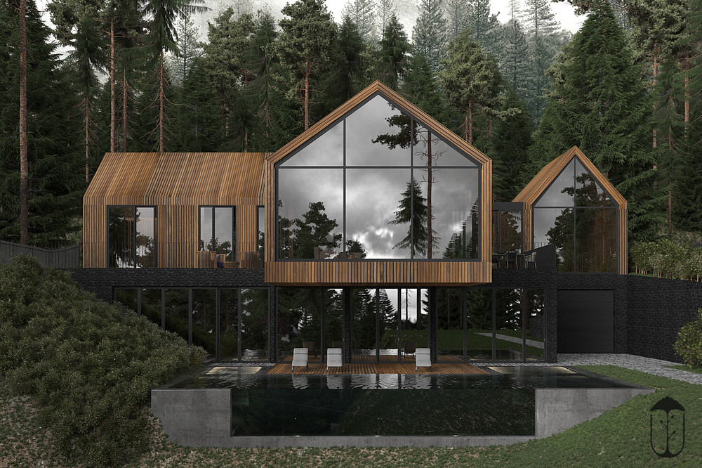 Загородный дом «Forest house», фасад, фото из проекта 