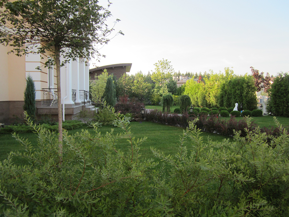 Загородный дом «», участок, фото из проекта 