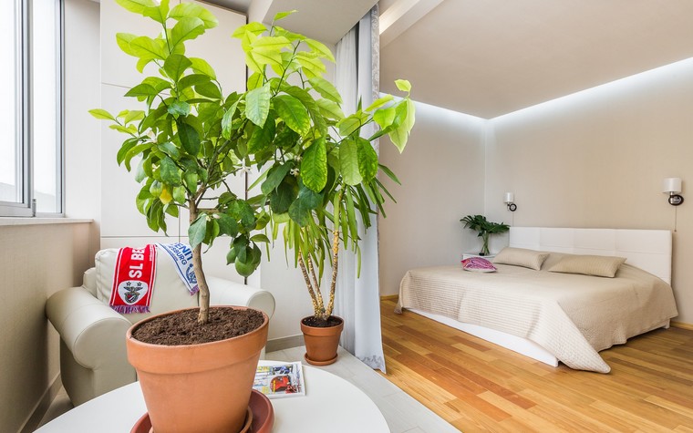 веранда - фото № 78731