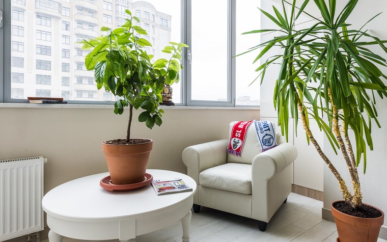 веранда - фото № 78732