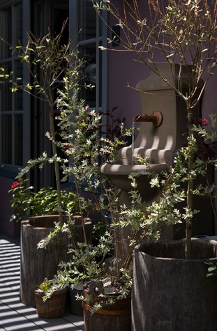 Квартира. зимний сад из проекта Квартира с террасой в историческом центре города., фото №79741