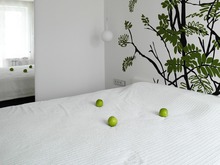 Квартира &laquo;Квартира на Винокурова, Москва&raquo;, спальня . Фото № 25193, автор Савченко Елена